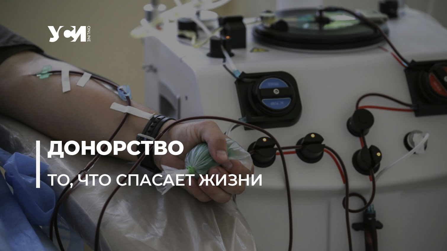 Всемирный день донора: в Одессе массово сдают кровь (фото) «фото»