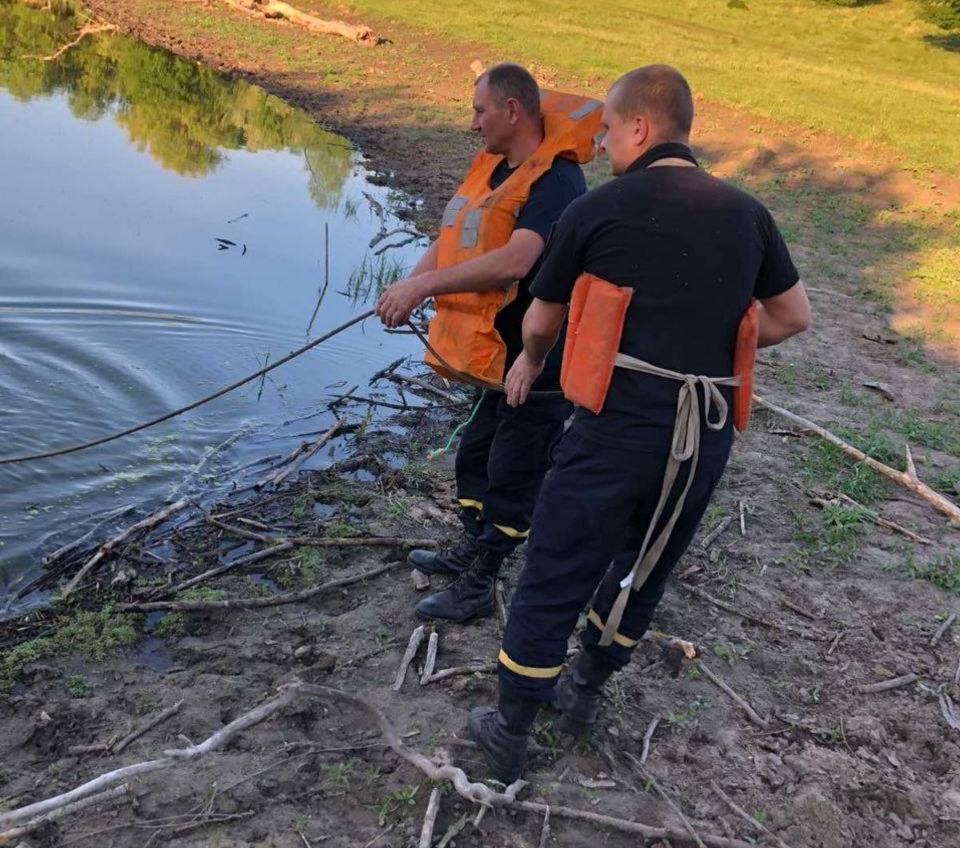 В Подольском районе в пруду нашли тело утопленника «фото»