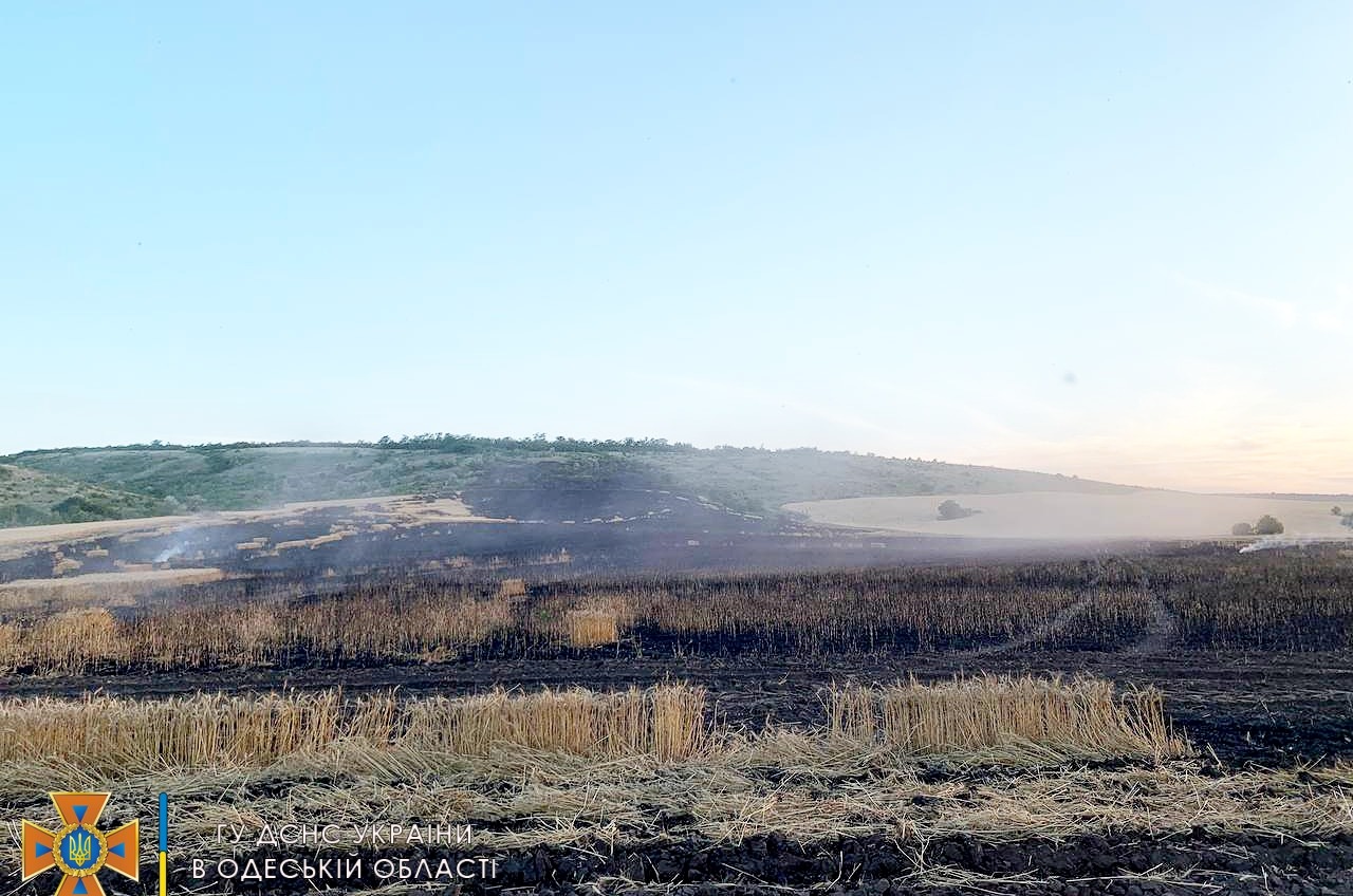В Березовском районе подожгли прицеп с сеном, пожар перекинулся на поле пшеницы (фото)  «фото»