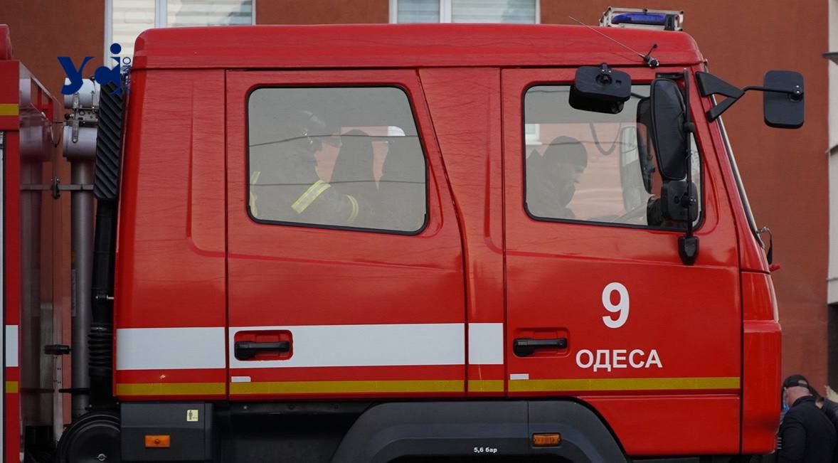 Одесские пожарные спасли выпавшего из окна кота (фото) «фото»