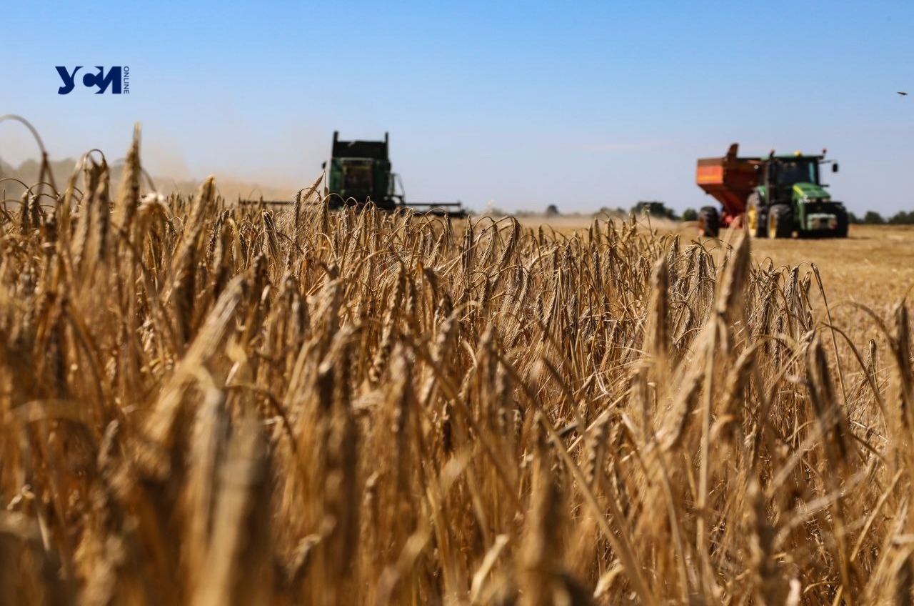 В Одеській області зібрали півтора мільйона тон зернових «фото»