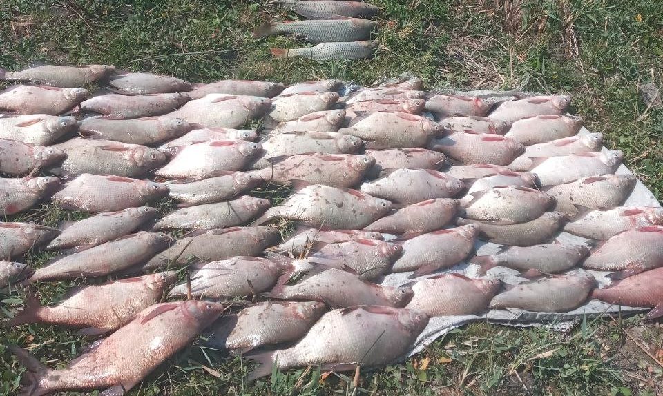 Браконьєрська рибалка на озерах Одеської області завдала збитків у 225 тисяч «фото»