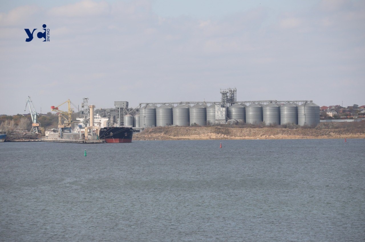 Експорт зерна розпочнеться з Чорноморського морпорту «фото»