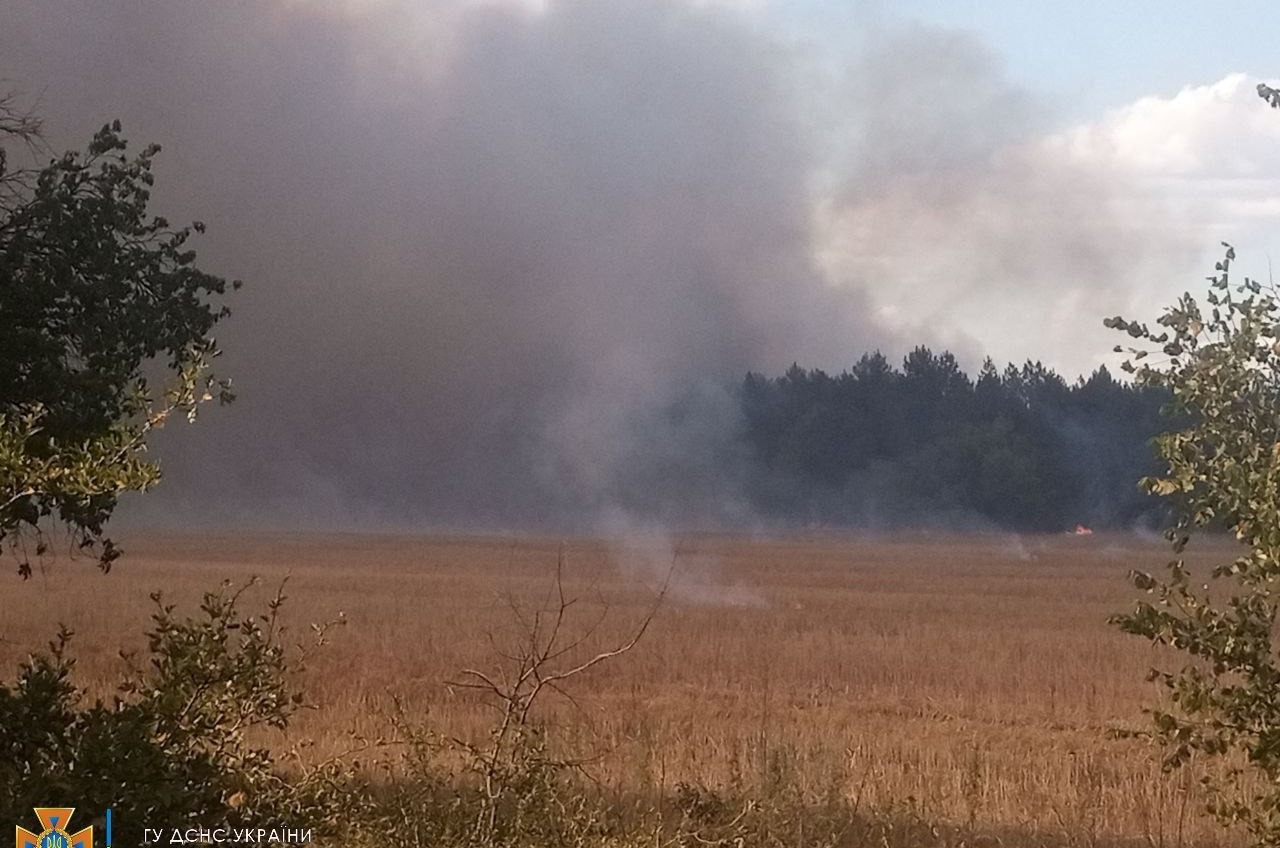 Вчора на Одещині підпалили лісовий масив: пожежу досі ліквідовують (фото) «фото»
