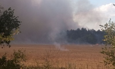 Вчора на Одещині підпалили лісовий масив: пожежу досі ліквідовують (фото) «фото»