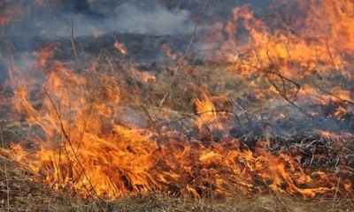 Одещина: Спалювання сухостою ледь не призвело до трагедії «фото»
