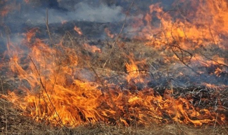 Одещина: Спалювання сухостою ледь не призвело до трагедії «фото»
