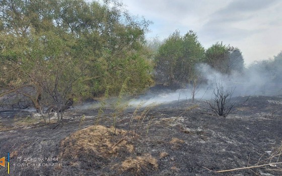 На Одещині вигоріло понад 27 гектар лісу (фото, відео) «фото»