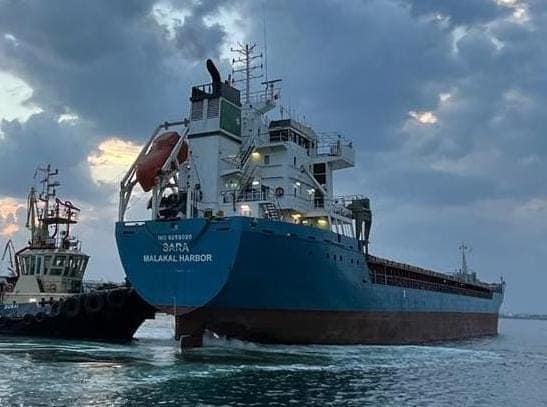 У порту на Одещині чекають ще на п’ять суден для завантаження зерном «фото»