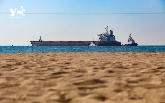 З портів «Одеса» та «Чорноморськ» вийшов другий караван (фото) «фото»