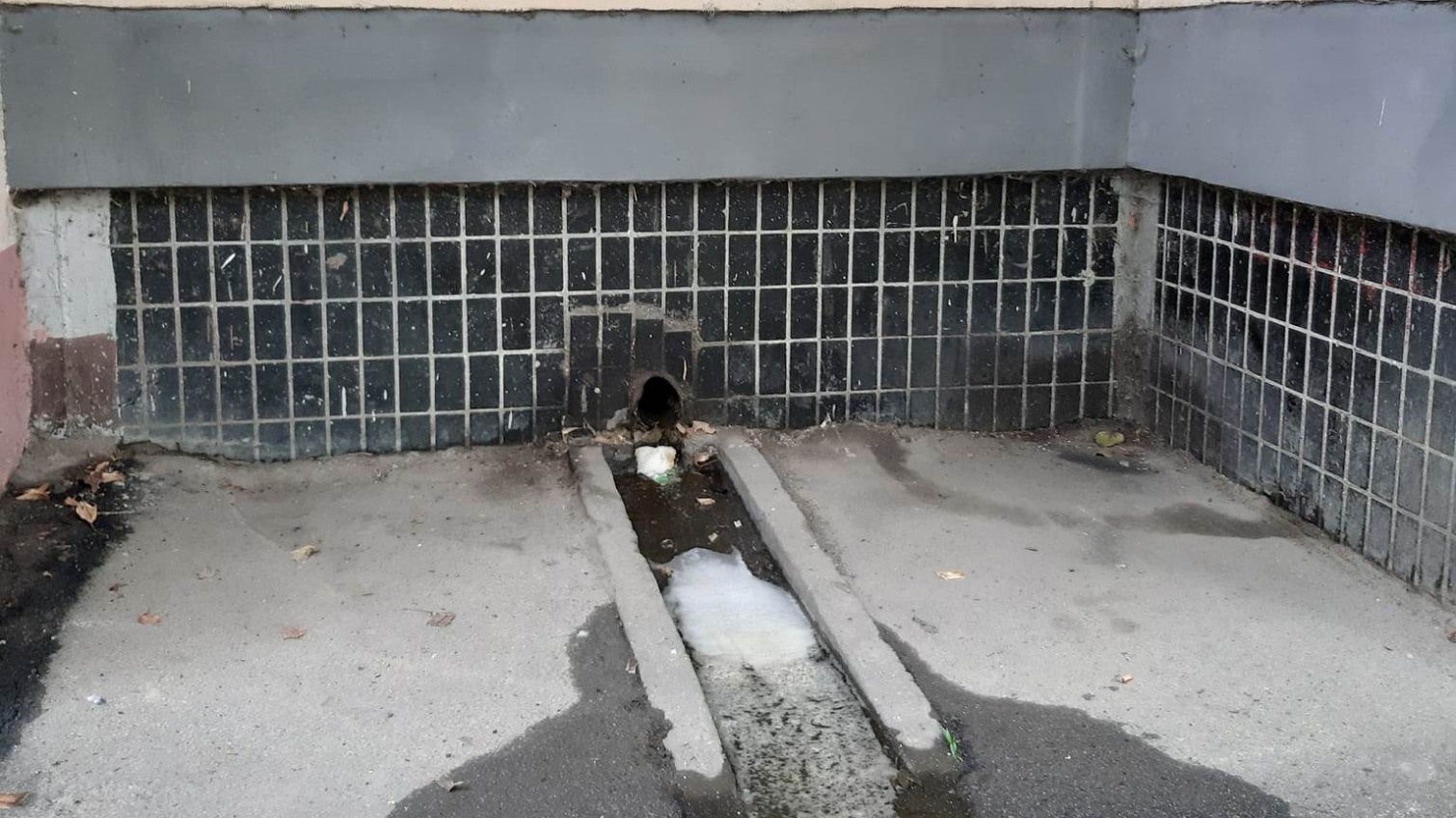 Скандал: з квартири на Академіка Корольова каналізацію вивели у двір (фото) «фото»