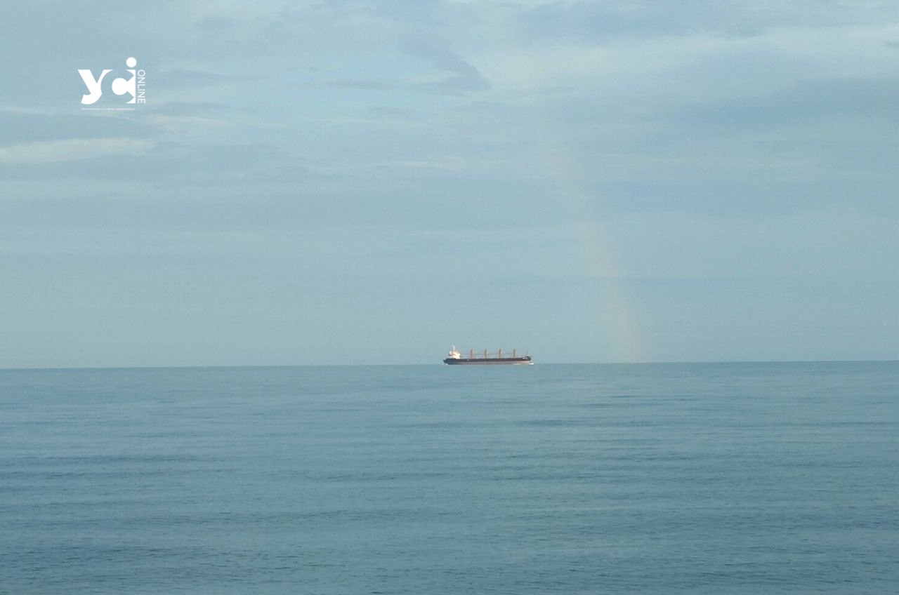 Експорт зерна у портах Великої Одеси: прибуло 1 судно, 3 вийшли з вантажем (фото) «фото»