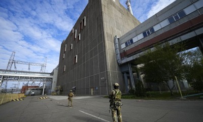 Щура загнали в кут і починають потрохи знищувати «фото»