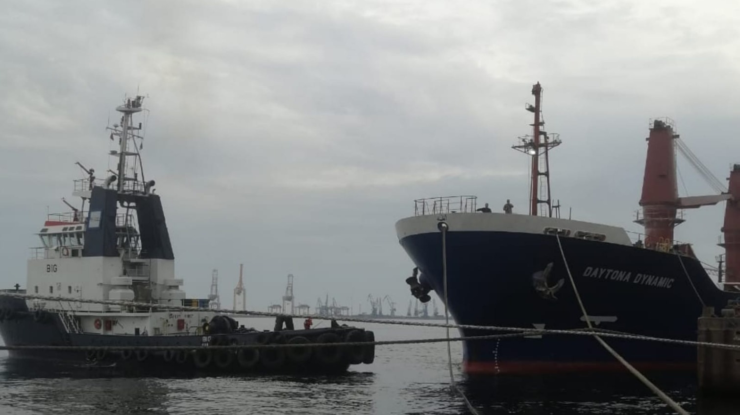 Українське зерно: 4 судна вийшли з портів Великої Одеси (фото) «фото»