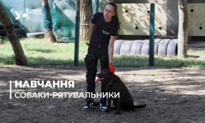 На допомогу Патрону: як в Одесі готують собак-рятувальників (відео, фото)  «фото»