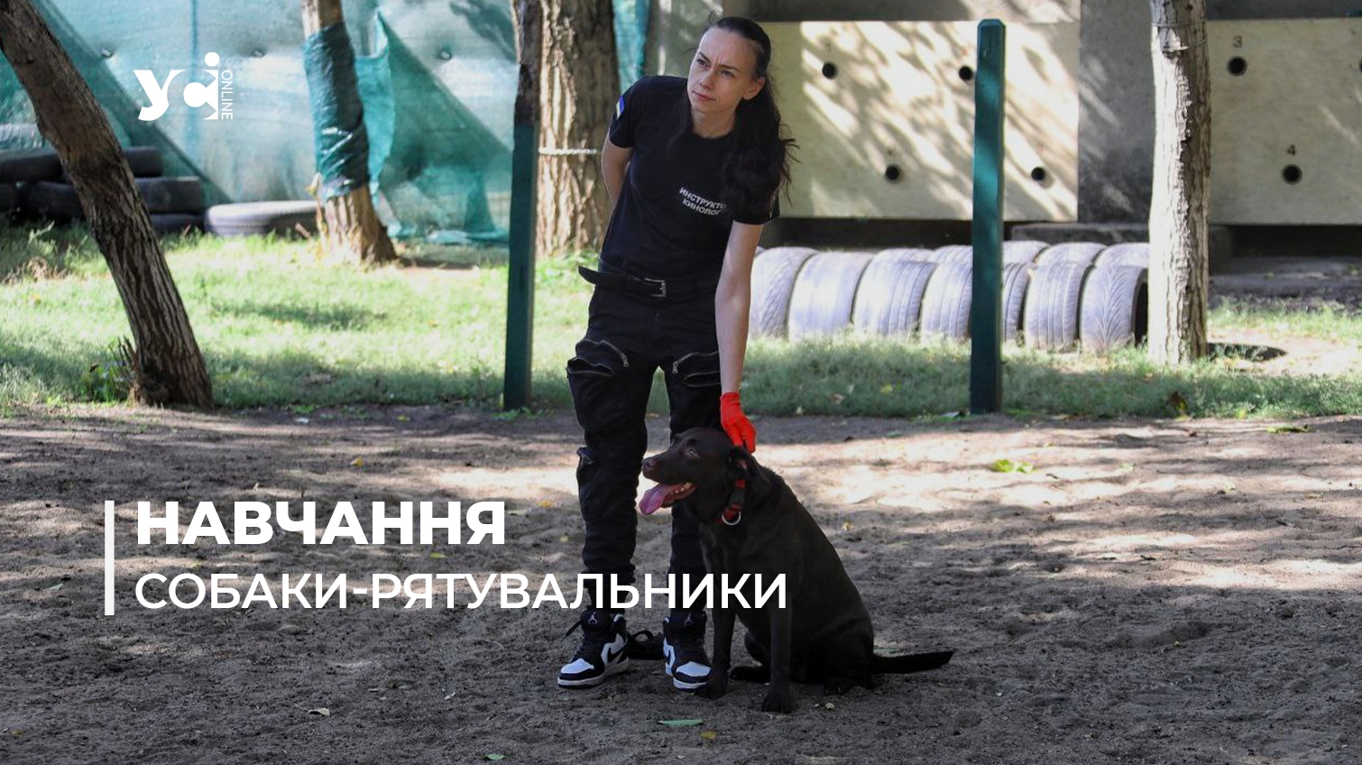 На допомогу Патрону: як в Одесі готують собак-рятувальників (відео, фото)  «фото»