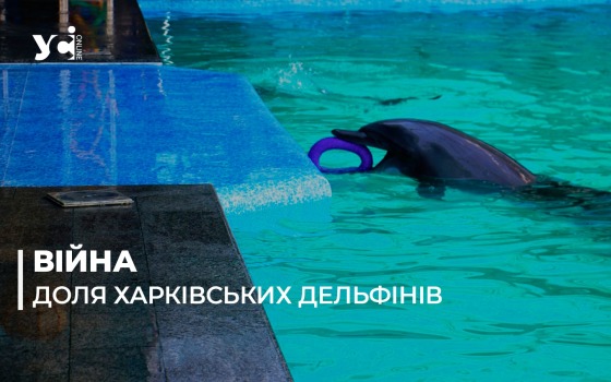 Одеський дельфінарій шукає новий дім для ссавців із Харкова (фото) «фото»