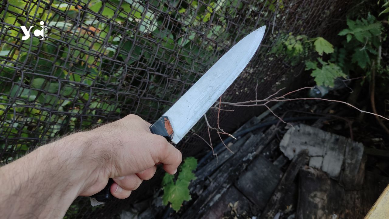 В Одесі чоловік ударив ножем сина через собак «фото»