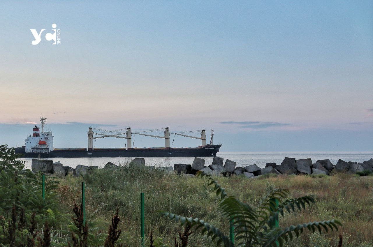 МІУ розкрило географію експорту зерна з портів Великої Одеси «фото»