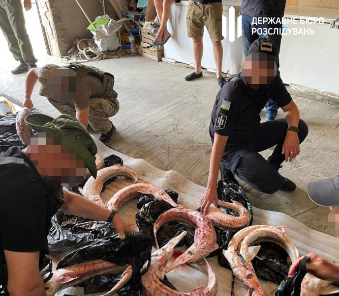 Брали данину з рибалок і кришували браконьєрів: на Одещині затримали посадовців Держрибагентства (фото) «фото»