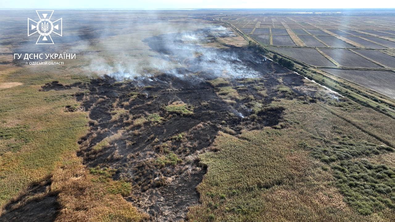 Горить Дунайський біосферний заповідник (фото) usionline.com Горить Дунайський біосферний заповідник (фото) «фото»