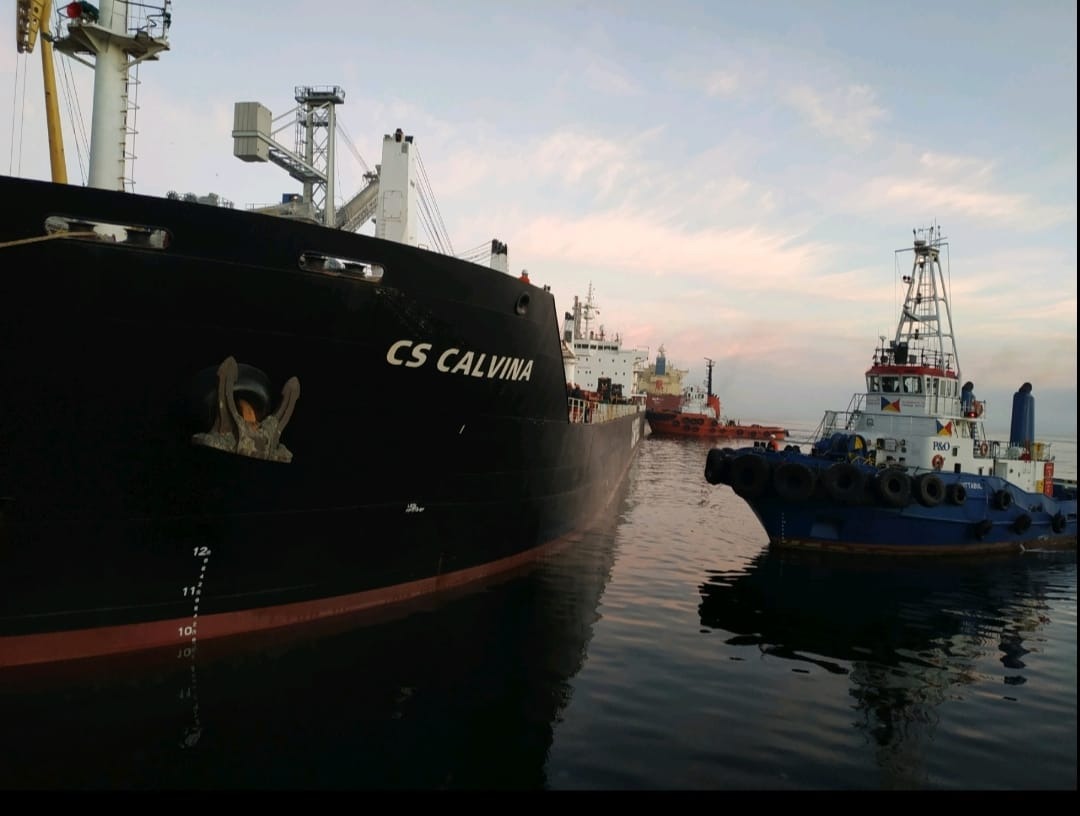 З портів Великої Одеси вийшли 6 суден із зерном (фото) «фото»