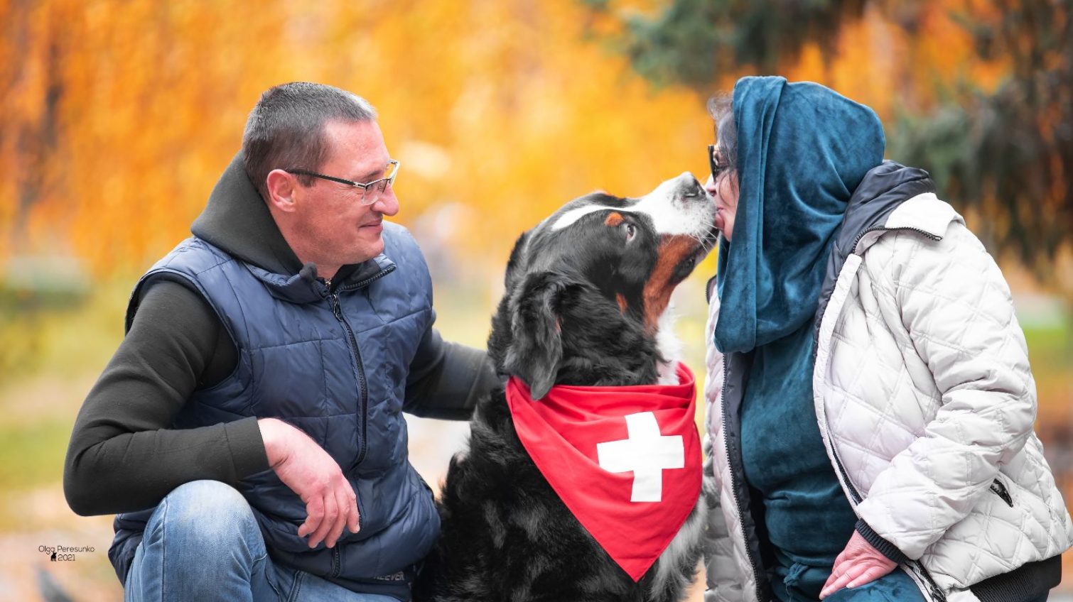 Донор крові та патрульний: історія одеського пса на ім’я Карапуз (фото) «фото»