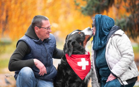 Донор крові та патрульний: історія одеського пса на ім'я Карапуз (фото) —  УСІ Online