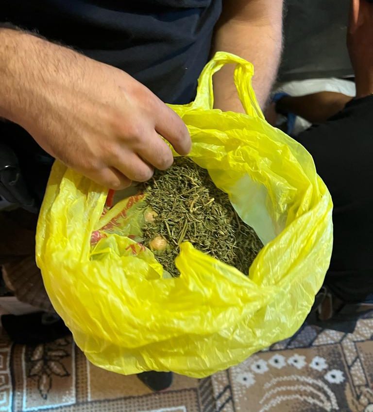 Вдома у мешканця Одещини знайшли цілий склад марихуани (фото) «фото»