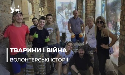 Хвостаті жертви війни: інтерв’ю з одеською зооволонтеркою Дашею Ножевніковою (фото) «фото»
