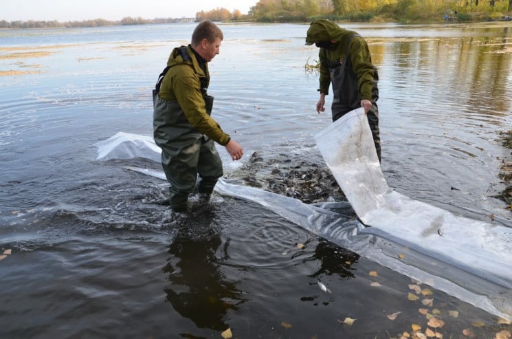 18 тонн: на Одещині зарибнили ще одну водойму «фото»
