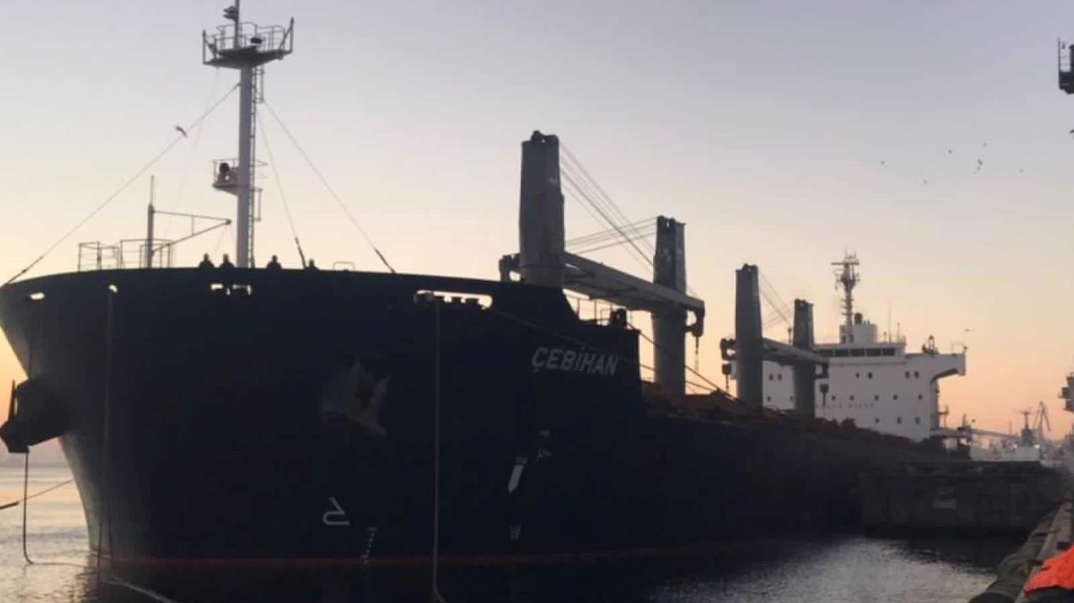 З портів Великої Одеси за дві доби вийшли 12 суден (фото) «фото»