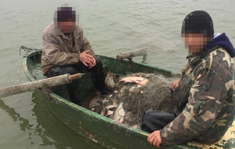 Двоє рибалок незаконно наловили рибу на 300 тис. гривень (фото) «фото»