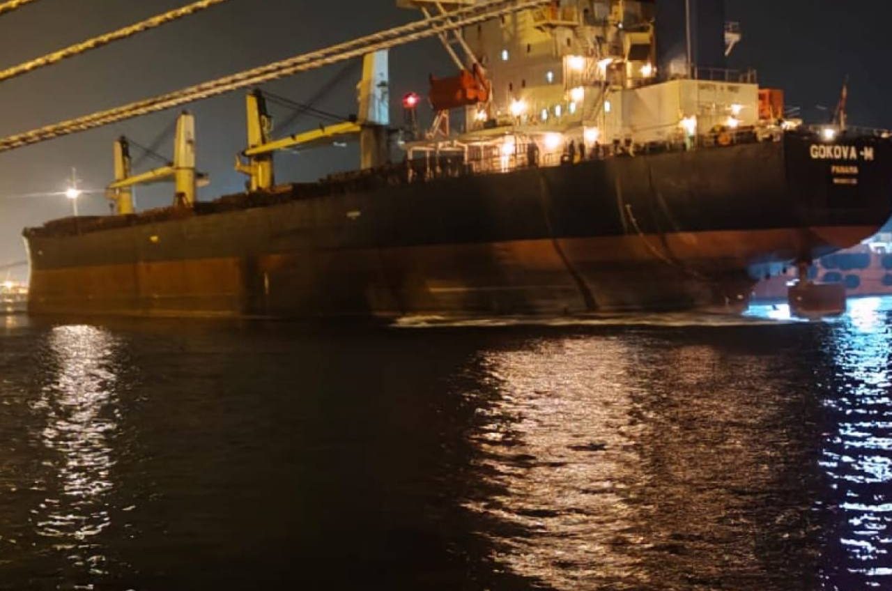 Два балкери зайшли в порти Великої Одеси під завантаження пшеницею «фото»