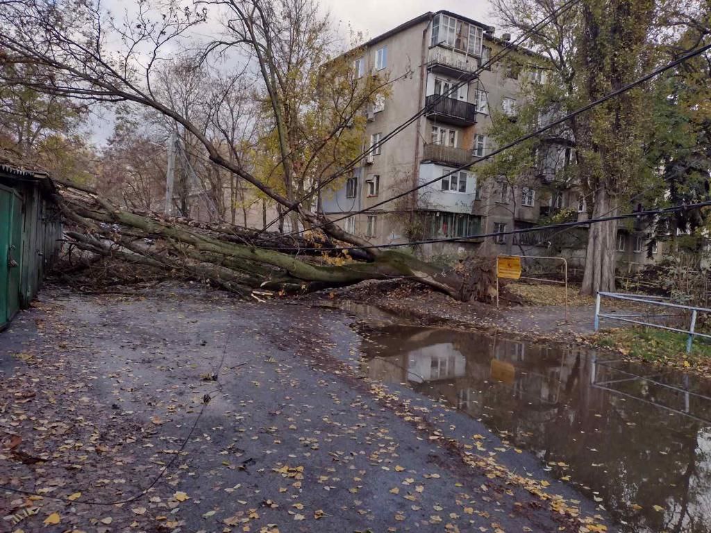 Негода: в Одесі повалені дерева, комунальники працюють у посиленому режимі (фото) «фото»