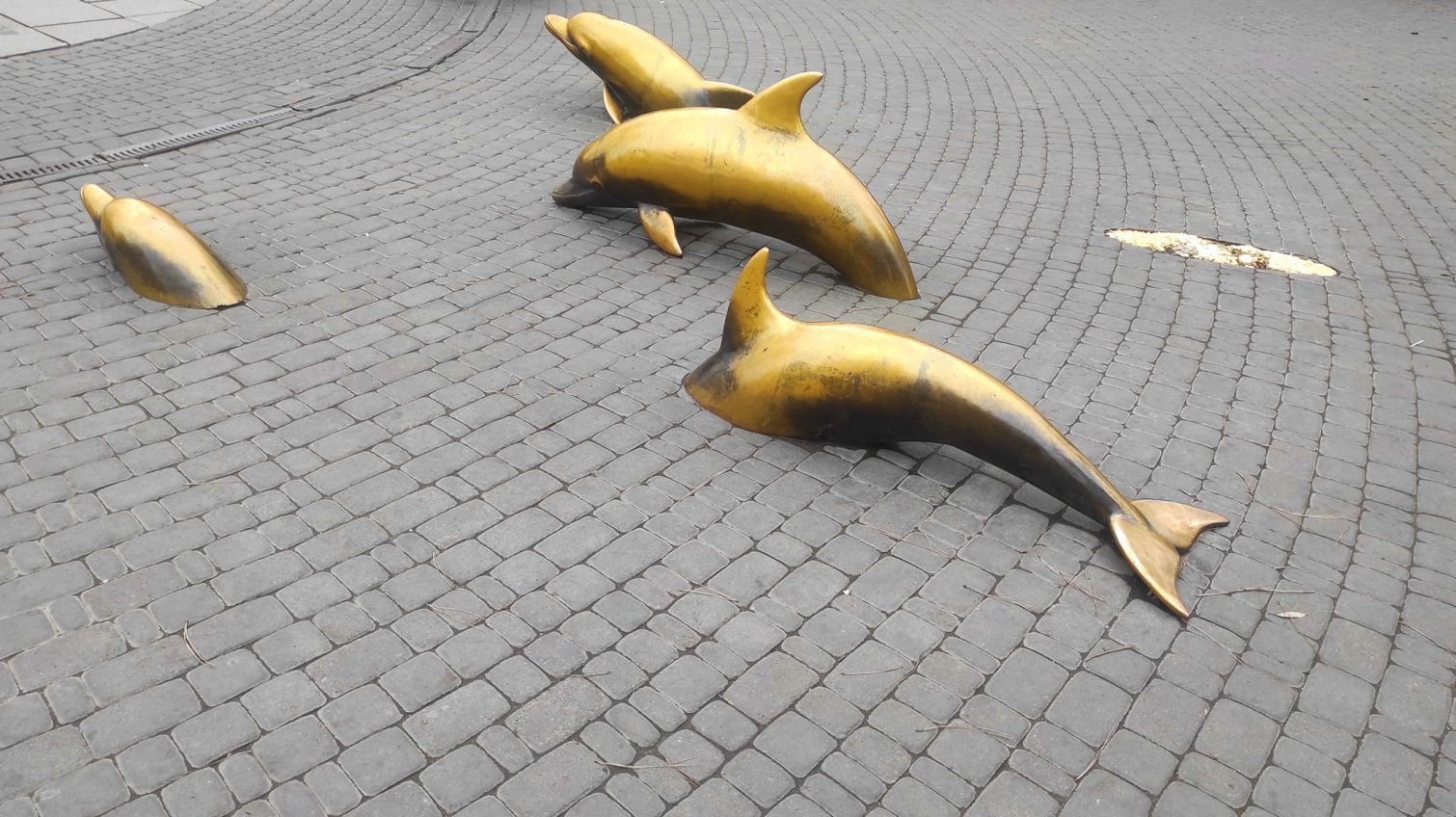 Зі Старосінної площі в Одесі зникла скульптура дельфіна: що відомо «фото»