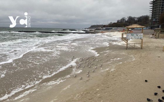 Зимовий шторм на одеському пляжі (фото) «фото»