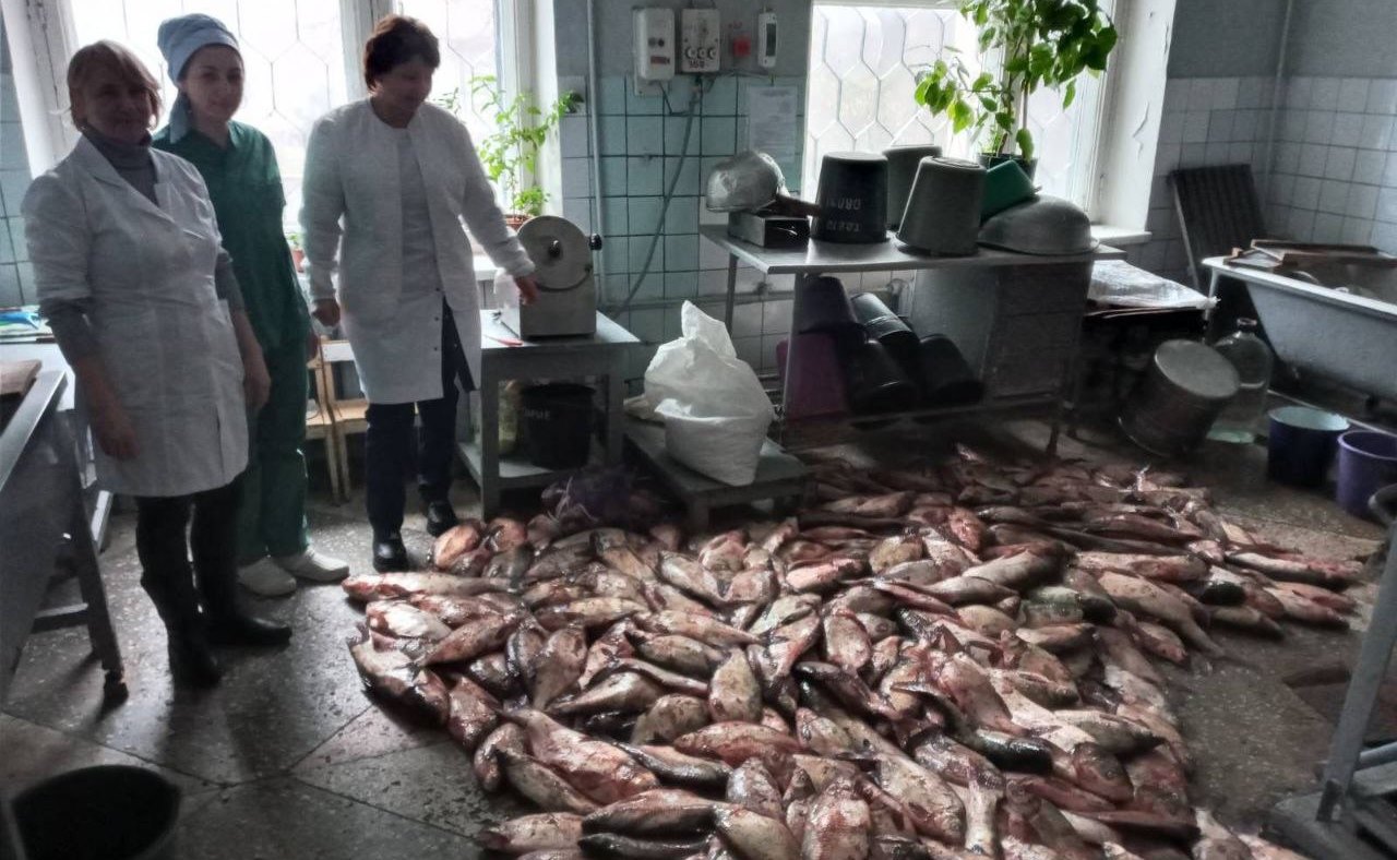 Одесити передали херсонцям 500 кг риби (відео) «фото»