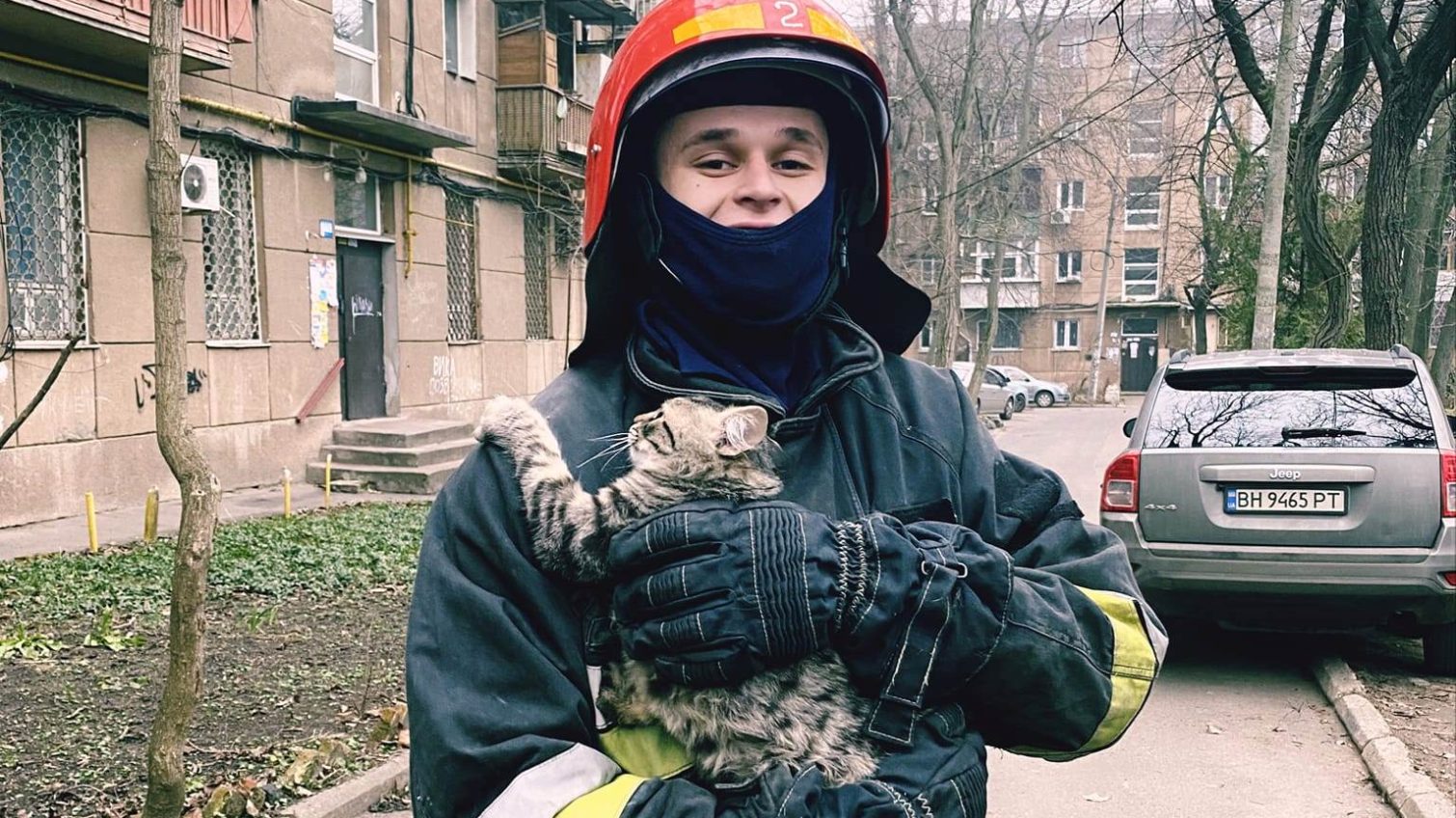 В Одесі врятували кошеня, яке більше доби сиділо на високому дереві (фото) «фото»