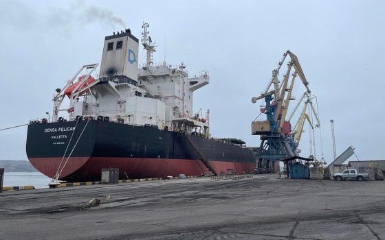 У порту Одещини обробляють найбільше судно з початку року (фото) «фото»