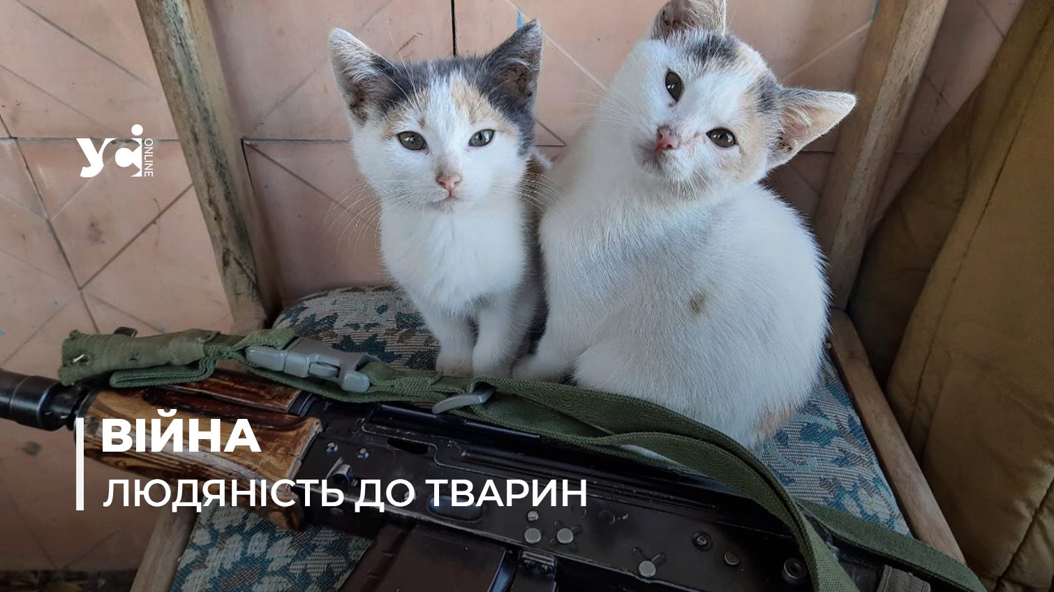 Чому українські військові активно рятують тварин? «фото»