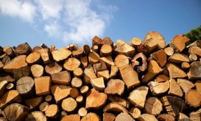 На Одещині розкрили шахрая, який ошукав на продажу дров літню жінку «фото»