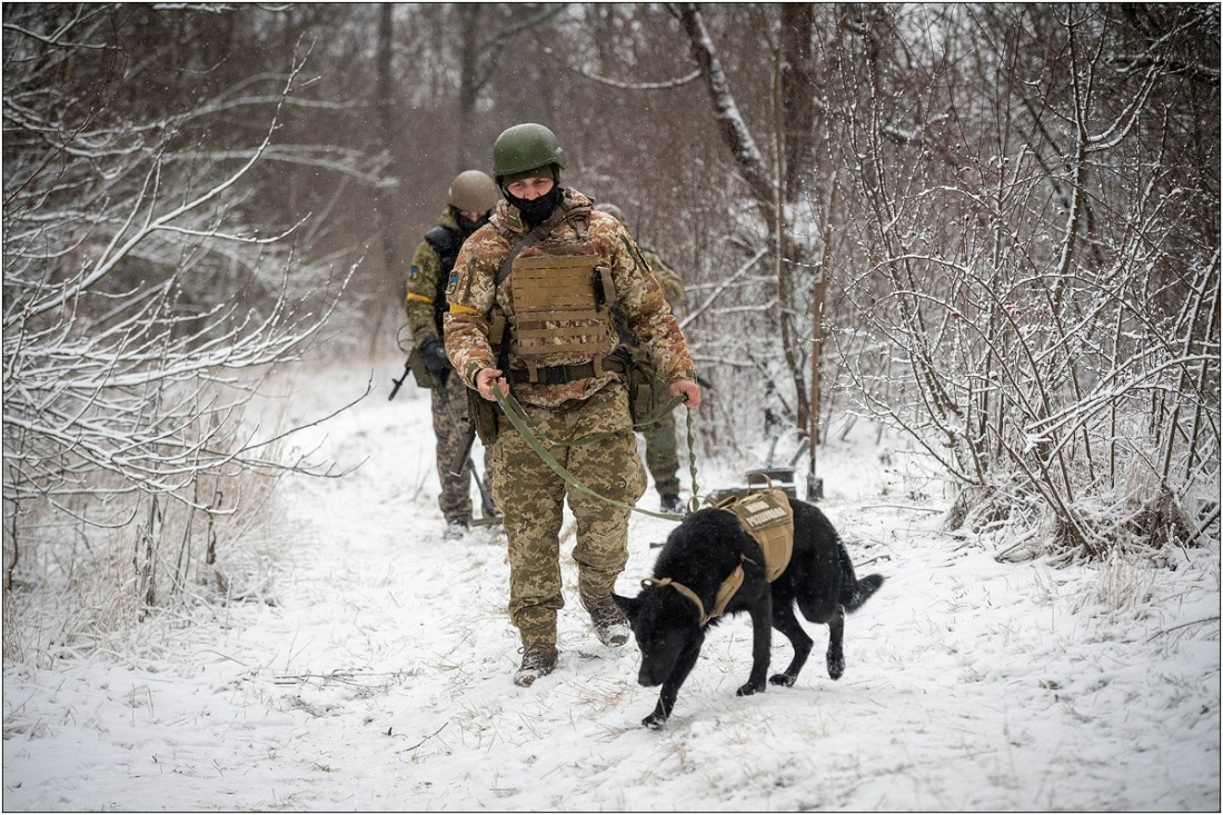 На Одещині завдяки собаці відшукали небезпечну знахідку (фото) «фото»