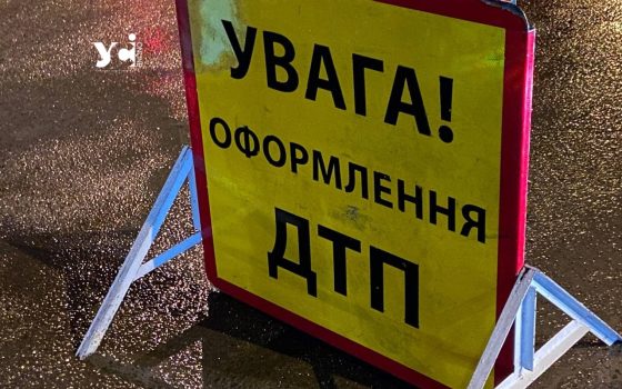 Водію, який збив на смерть людей на трасі «Київ – Одеса», скасували умовний строк «фото»
