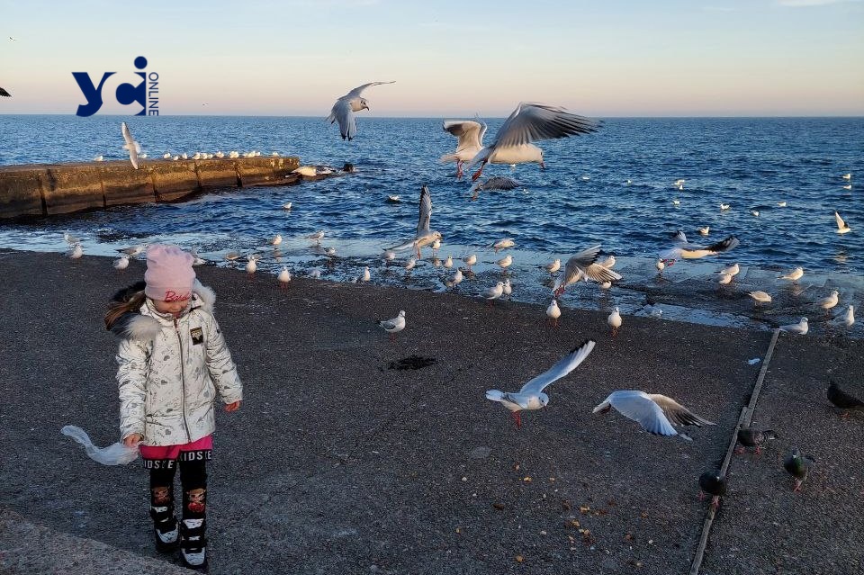 В Одесі буде тепло usionline.com В Одесі буде тепло «фото»