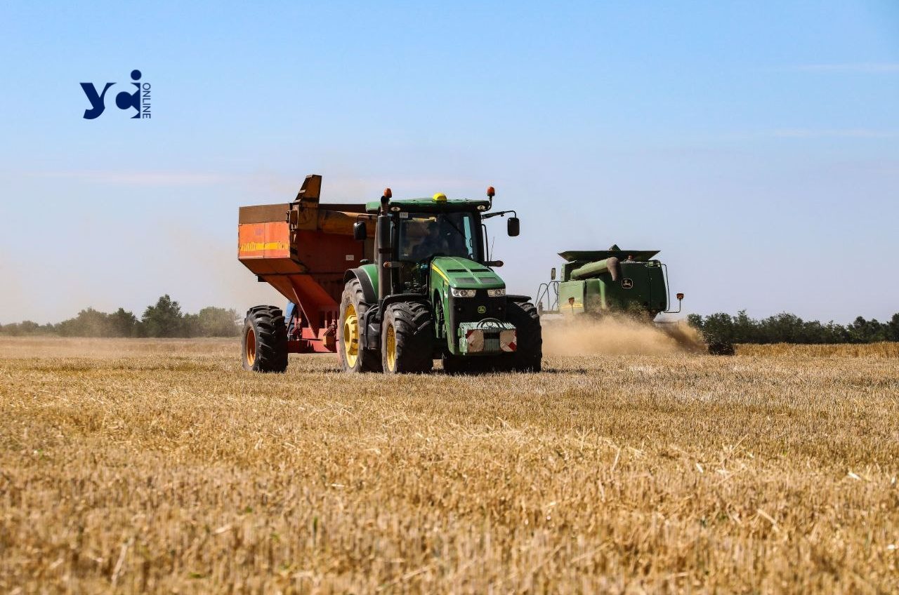 Одеські фермери потрапили до топ-5 у країні за обсягами кредитів «фото»