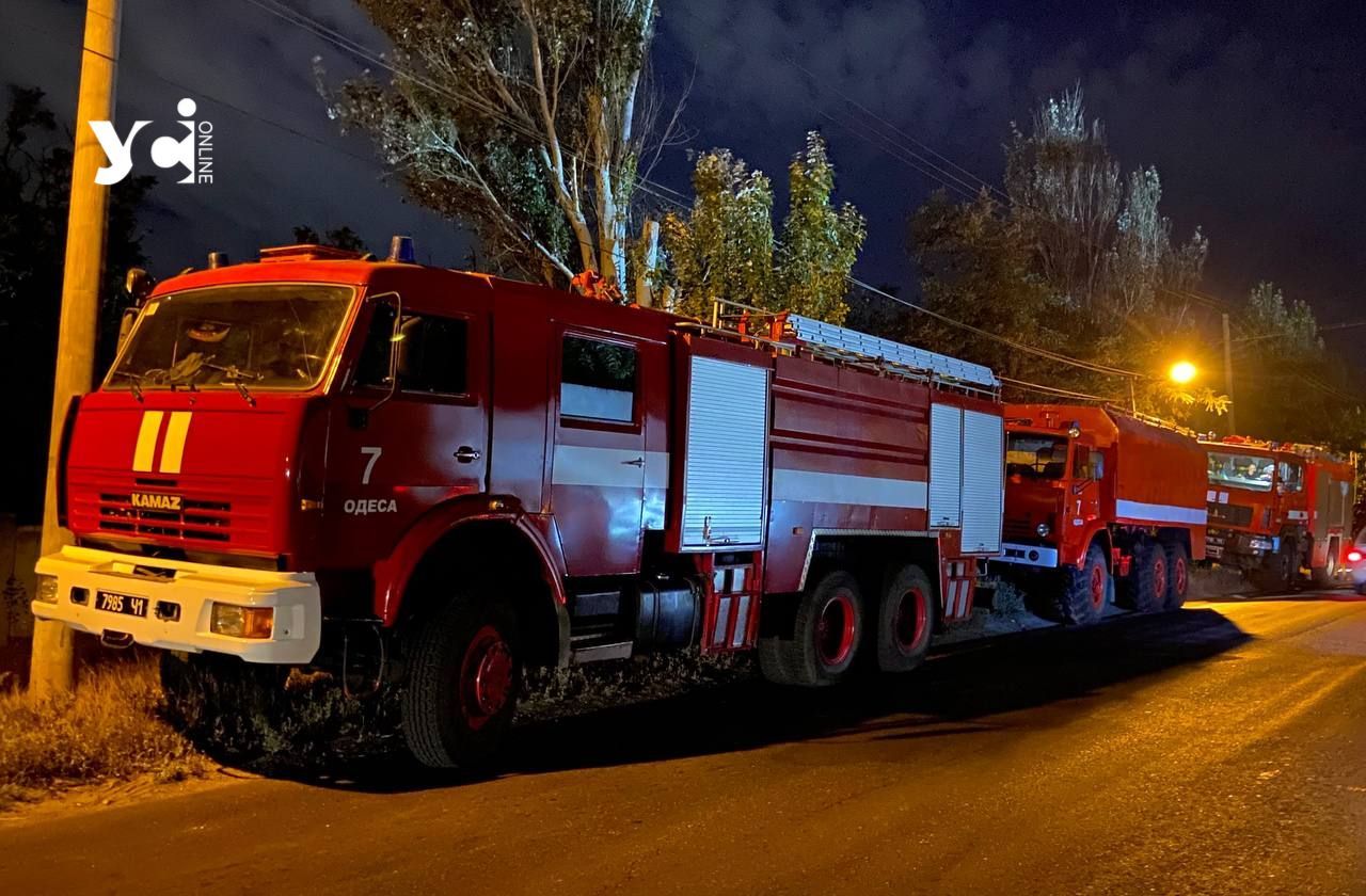 Уздовж річки Дунай на Одещині гасили пожежу «фото»