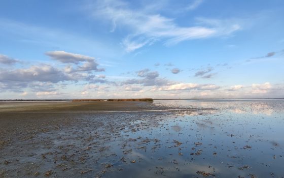 Охоронці природи провели «чистку» Придунайських озер та відновили їх водообмін (фото) «фото»