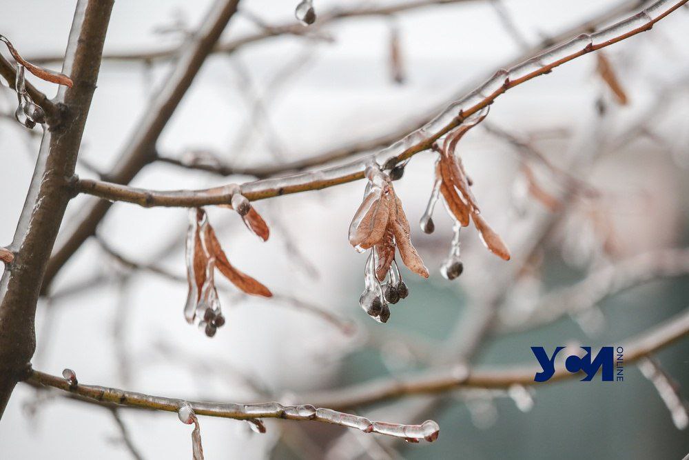Хуртовина та налипання мокрого снігу: в Одеській області — погіршення погоди «фото»