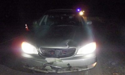 В Одеській області автомобіль збив 15-річну дівчинку «фото»